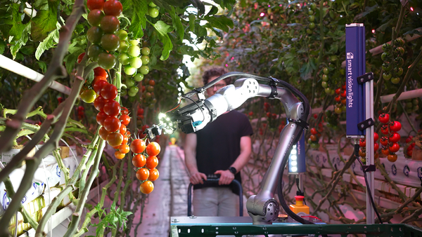 Thumb ticker md polybot greenhouse  c  polybot web